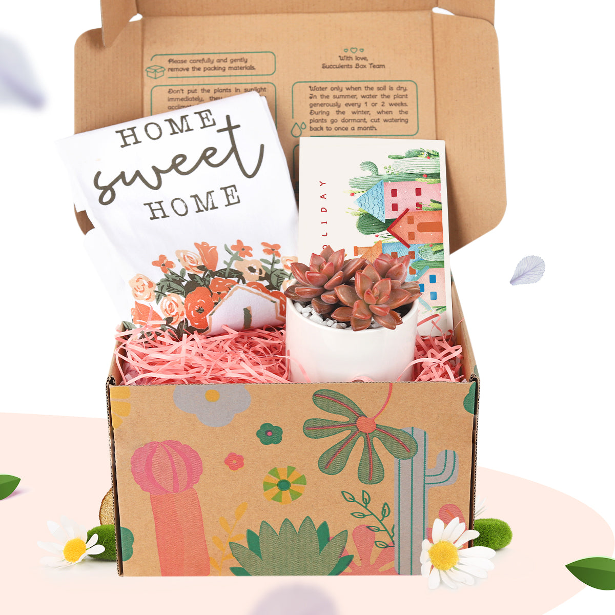 Housewarming Gift Box, Housewarming Gift Box for sale, Housewarming Gift for plant lovers, succulents in ca
