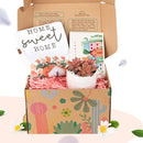 Housewarming Gift Box, Housewarming Gift Box for sale, Succulents Housewarming Gift Box, Succulents Holiday Gift box, gift box with greeting card