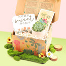 Housewarming Gift Box, Housewarming Gift Box for sale, Succulents Housewarming Gift Box, Succulents Holiday Gift box, gift box with greeting card