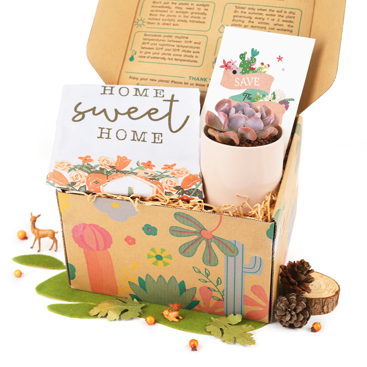 succulent housewarming gift Housewarming Succulent Gift Box, Happy New Home Gift for Plant Lovers