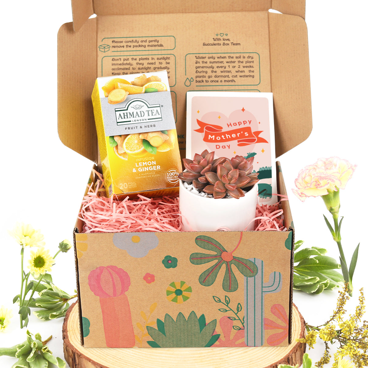 surprise box gift, best friend gift box ideas, gift box for women, succulent gift box, gift box delivery, christmas gift box ideas