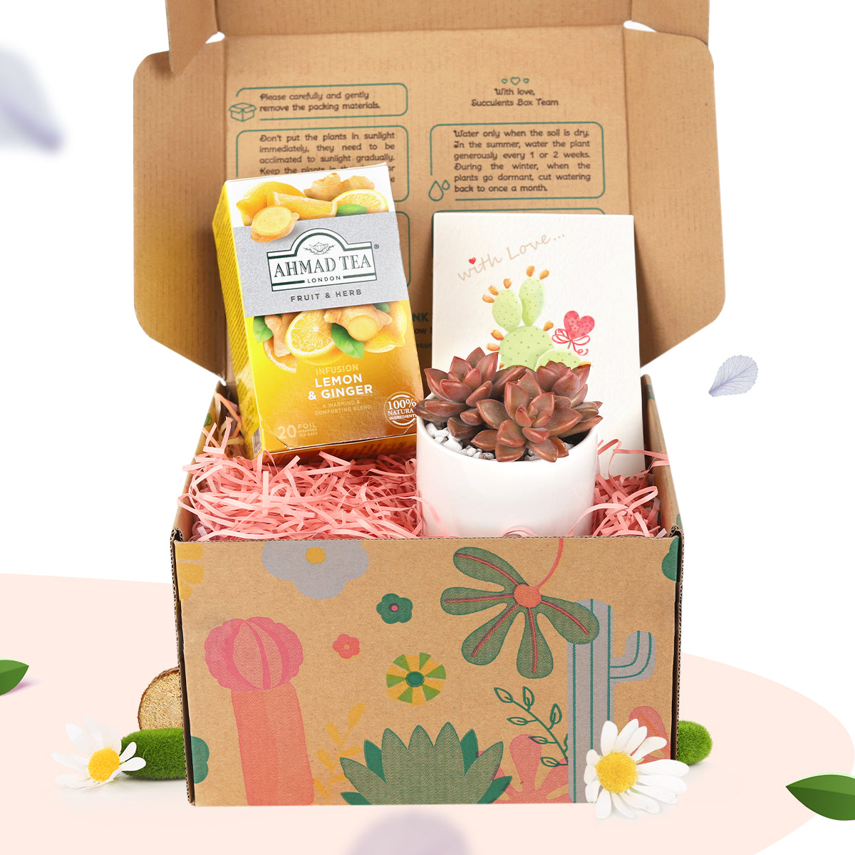 Warmest Wishes Succulent Gift Box, gift box for sale, gift ieads 2025, gifts for plant lovers, gift delivery in ca