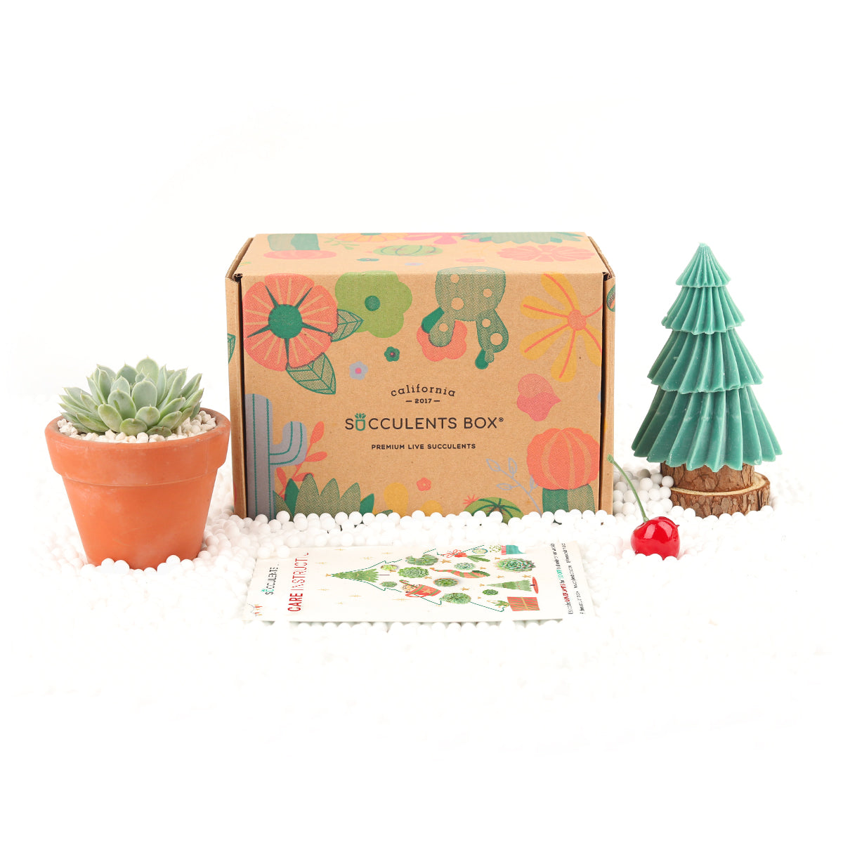 Subscription Box with Care Instruction, Succulent Subscription Box