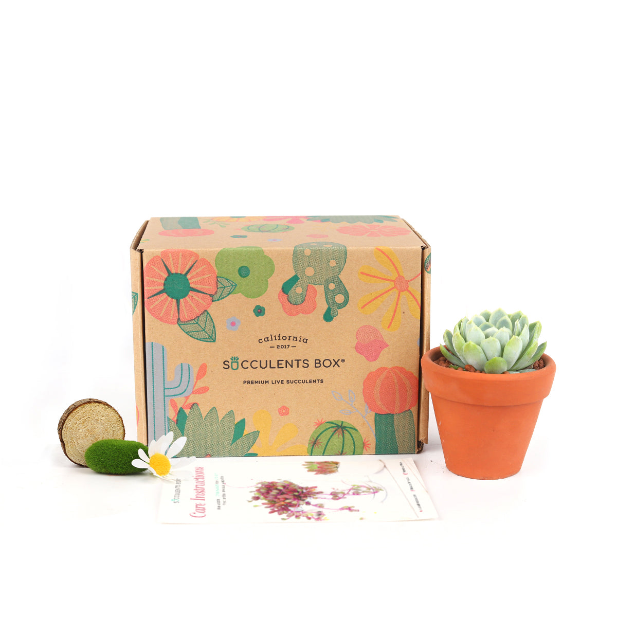 Subscription Box with Care Instruction, Succulent Subscription Box