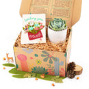 holiday and christmas postcards for sale, christmas postcards ideas 2025, christmas postcards near me