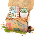 holiday and christmas postcards for sale, christmas postcards ideas 2025, christmas postcards near me