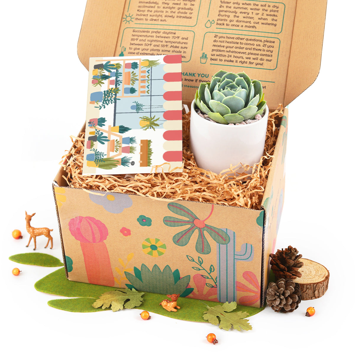 gift box for sale, gift ideas, plant lover gift ideas, succuents in ca 2025