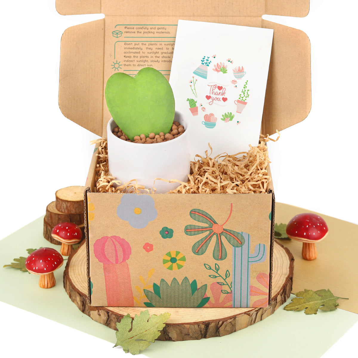 Customizable Gift Boxes for employees and clients, Office gift for employees, Employee appreciation day 2025 ideas, Succulent Plants for Clients &amp; Employees for sale