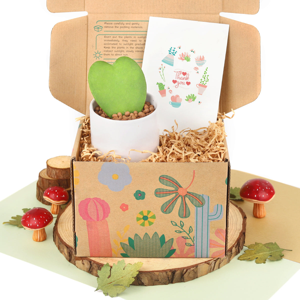 Customizable Gift Boxes for employees and clients, Office gift for employees, Employee appreciation day 2023 ideas, Succulent Plants for Clients & Employees for sale