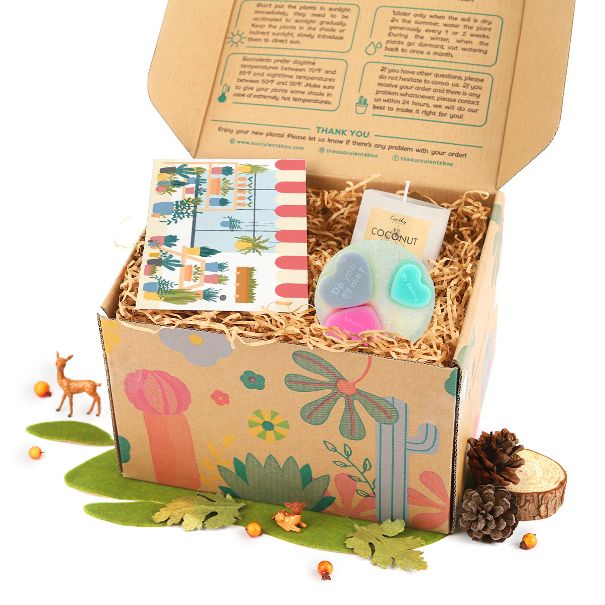 succulent gift box, unique succulent gifts, best succulent gift box, succulent gifts near me, succulent gifts for teachers, succulent gifts for coworkers 2025