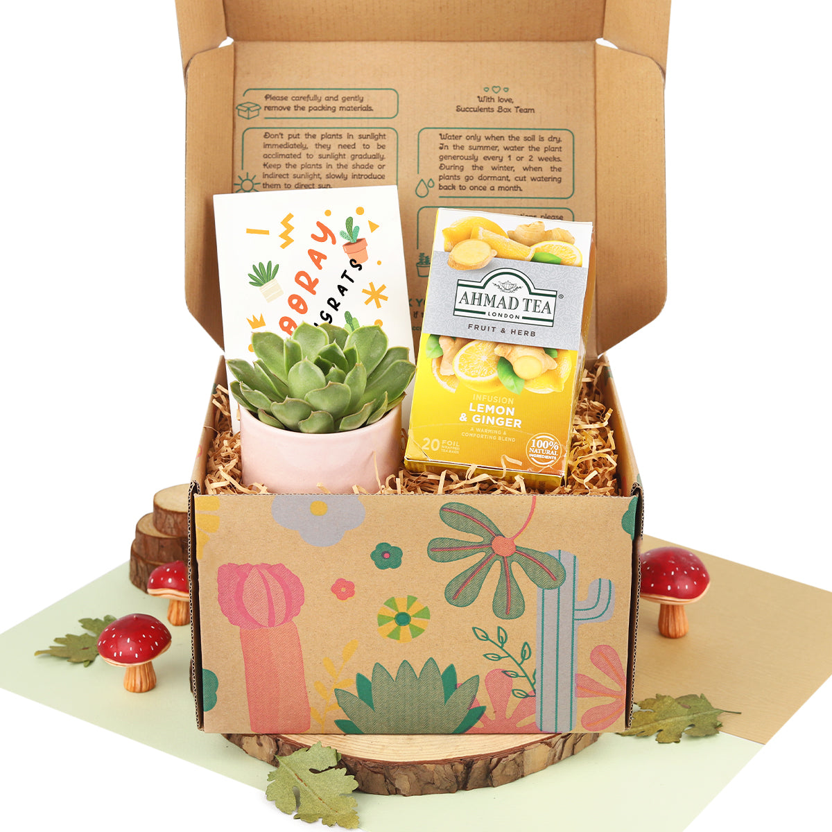 Warmest Wishes Succulent Gift Box