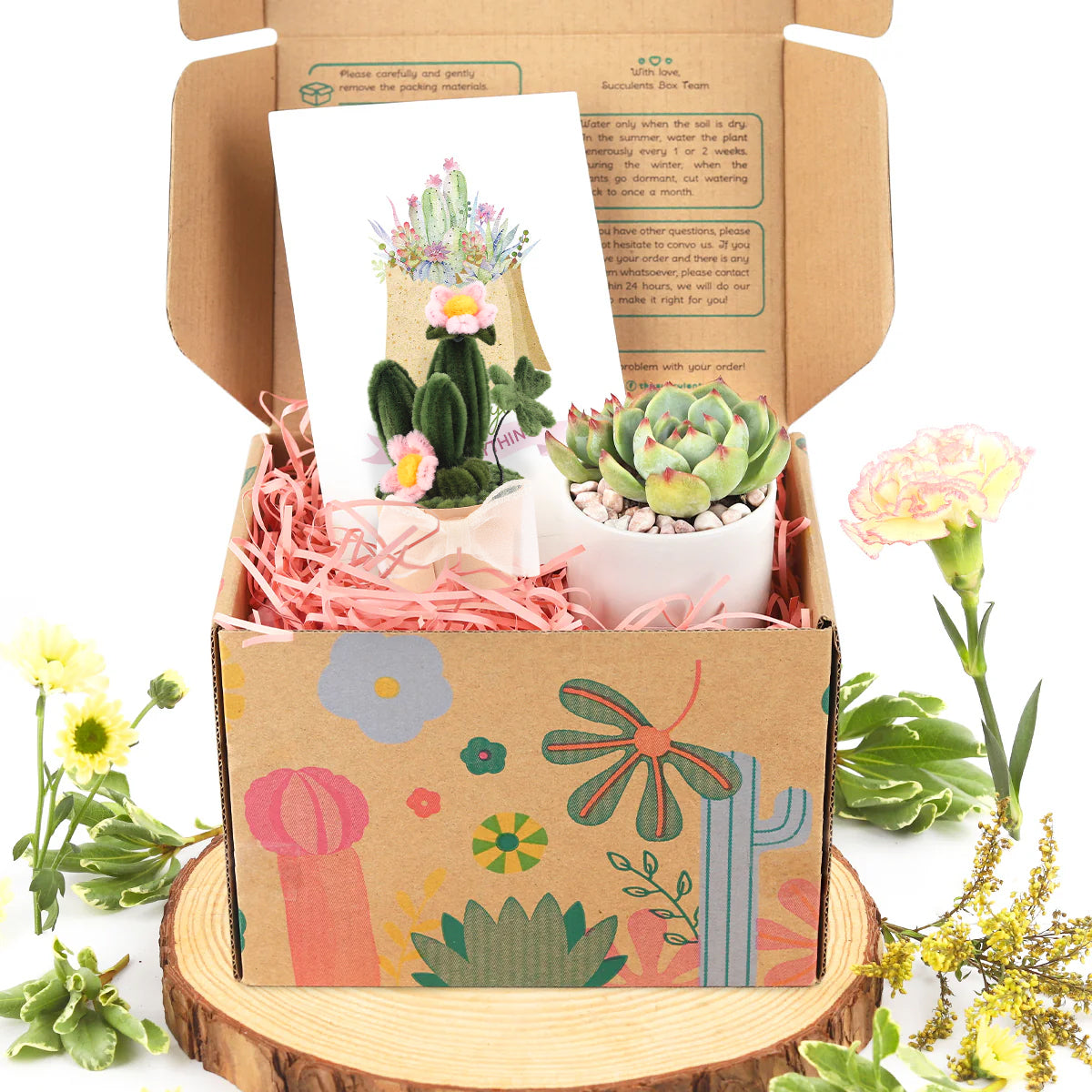 Succulents and cactus make awesome wedding favors, Succulent gifts are a great choice for any wedding, Succulents wedding decorations ideas