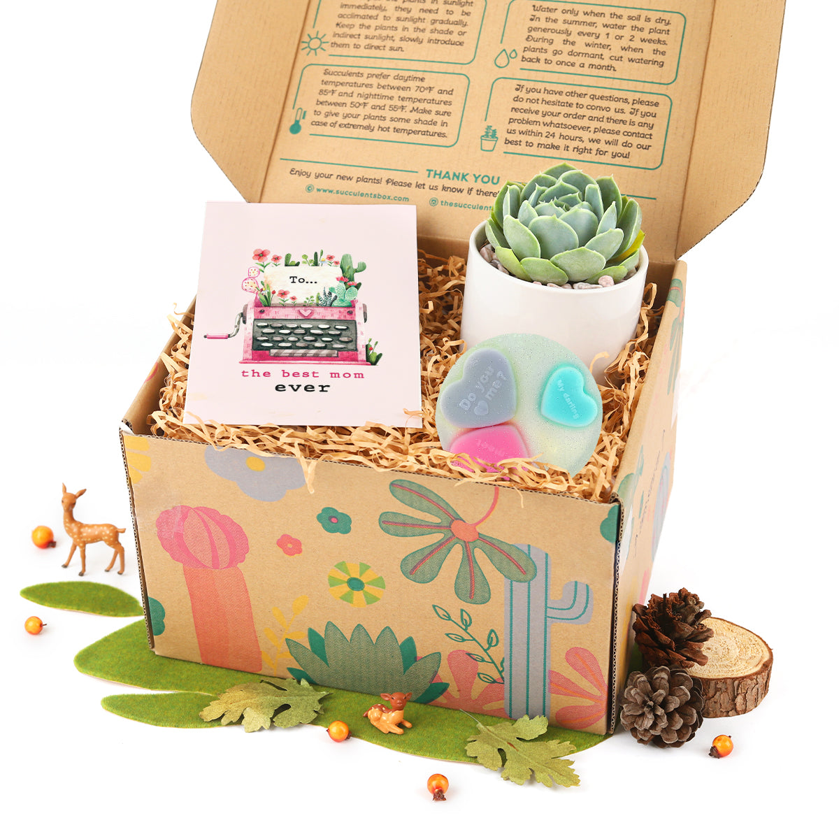 Gift Box includes 1 Potted Succulent and 1 Heart Glitter Soap, Unique Succulent Gift Box for Women, Best Place to buy Plant Gift Box at Any Occasion 2025