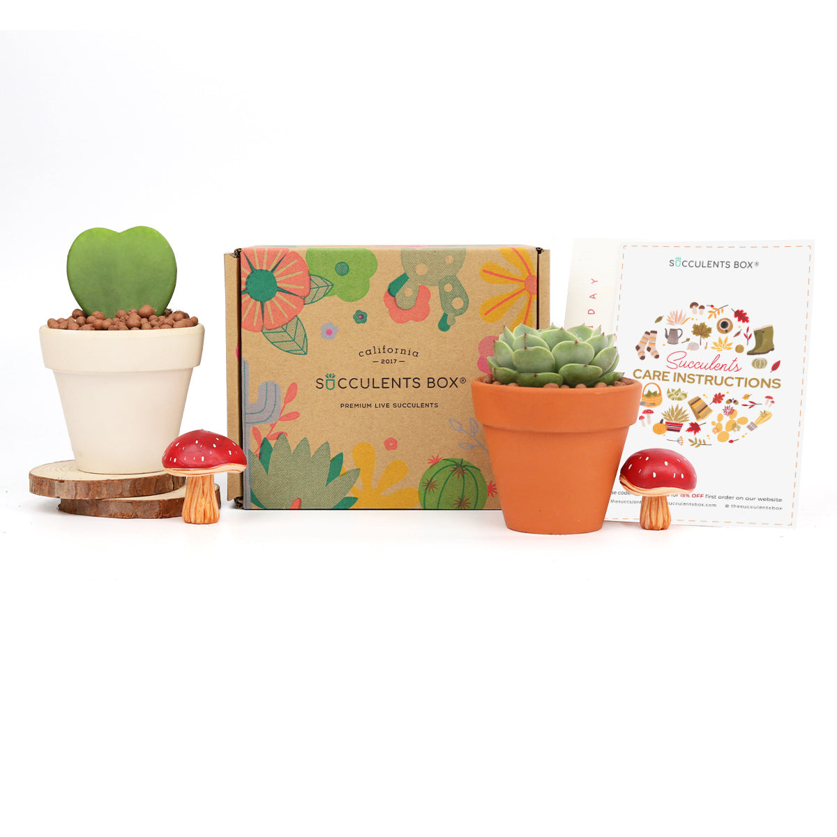 plant subscription box monthly, best subscription box, garden subscription box, subscription box gifts, couples monthly subscription box