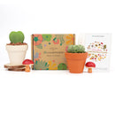 Succulents for Sale, Types of Succulents, Succulents Shop in California, Succulents and Cactus Plants, Cactus Box, Subscription Box with Care Instruction, Succulent Subscription Box