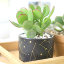 Celestial Pot, Celestial gift idea, Ceramic Pot, Ceramic Pot for Succulents and Flowers, Succulent Pot, Succulent Pot for Sale, Succulent Gift ideas, Decor Ideas, Mini Pot for Succulent, Black Pot for Succulent, Modern style succulent pot, Succulent pot near me, Succulent Pot in CA