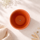 Clay Terracotta Pot 2.5"