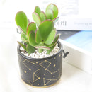 Celestial Pot, Celestial gift idea, Ceramic Pot, Ceramic Pot for Succulents and Flowers, Succulent Pot, Succulent Pot for Sale, Succulent Gift ideas, Decor Ideas, Mini Pot for Succulent, Black Pot for Succulent, Modern style succulent pot, Succulent pot near me, Succulent Pot in CA