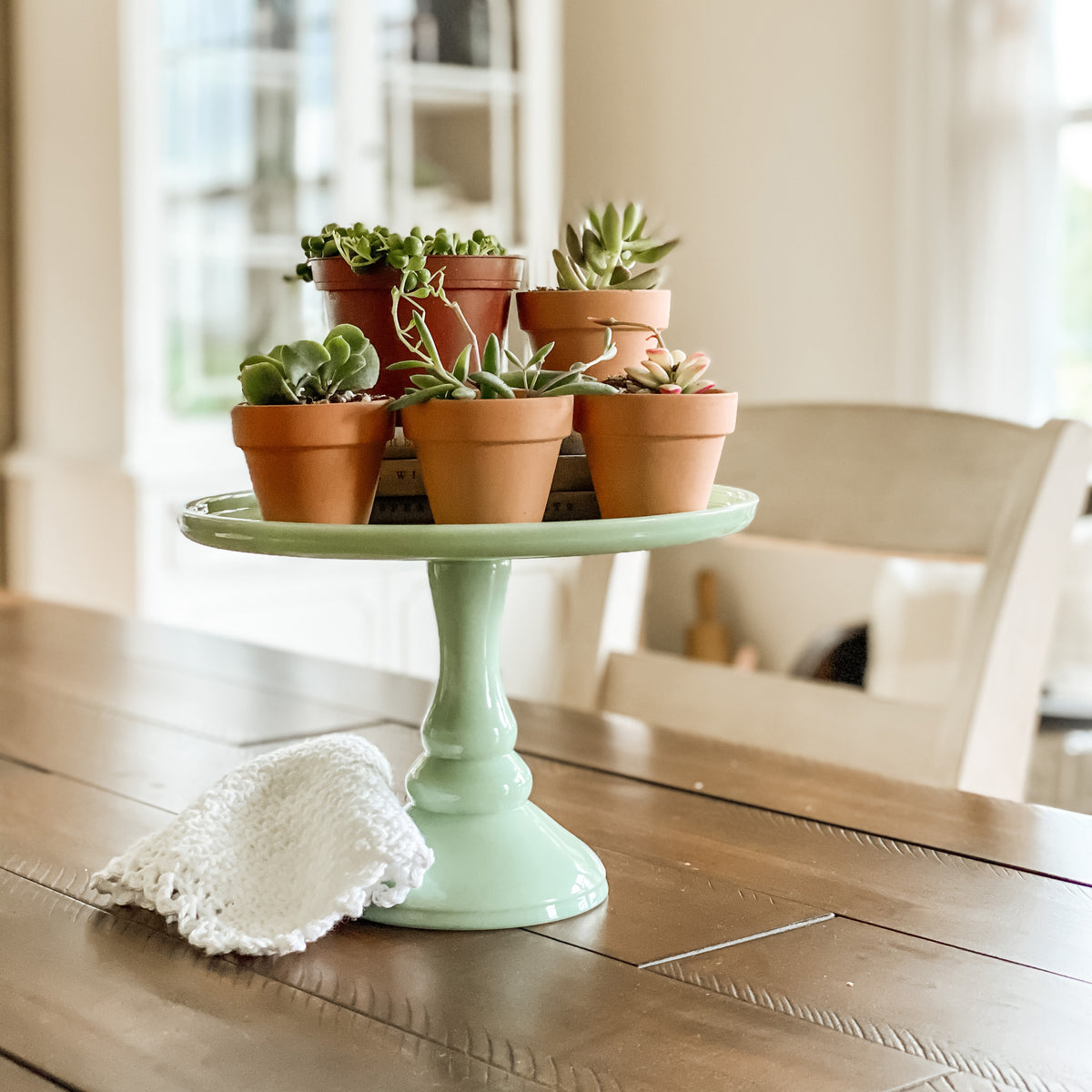Succulent terracotta clay pots for home office decor, Popular places to purchase terracotta succulent pots in the USA, A wide variety of terracotta pots in different sizes and styles