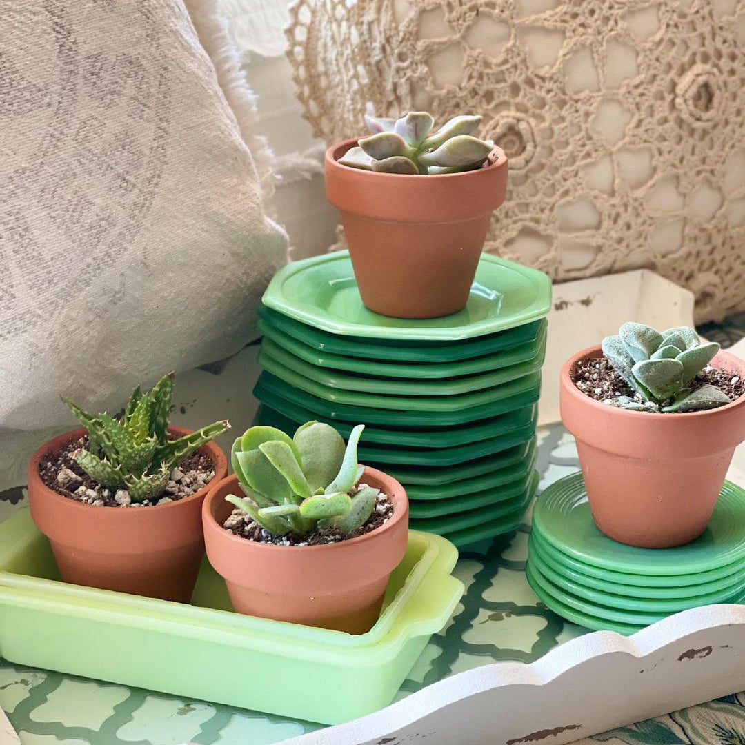 pots for succulents with drainage Buy Succulent Pot Online: 2.5" Terracotta Clay Pot w Drainage Hole by Succulents Box