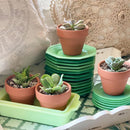 Terracotta succulent clay pot with a drainage hole foe sale, Buy small clay pot for succulent and cactus
