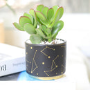 Celestial Pot, Celestial gift idea, Ceramic Pot, Ceramic Pot for Succulents and Flowers, Succulent Pot, Succulent Pot for Sale, Succulent Gift ideas, Decor Ideas, Mini Pot for Succulent, Black Pot for Succulent, Modern style succulent pot, Succulent pot near me, Succulent Pot in CA