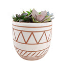 Succulent Arrangement in decorative Pot, rosette succulents, colorful succulents, stunning succulent arrangement for home and office decor, random succulents in decorative pots