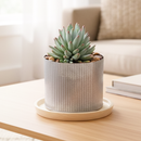Rustic Corrugated Pot