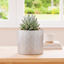 Rustic Corrugated Pot