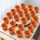 Clay Terracotta Pot Pack 6/12/24