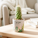 2 inch succulent pots, 2 inch pots for plants, 2" plant pots, on point pot, buy succulent pot online, succulents shop in ca
