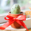 buy Rare Tephrocactus Geometricus online, Rare Tephrocactus Geometricus in ca, cactus for sale, rare plants