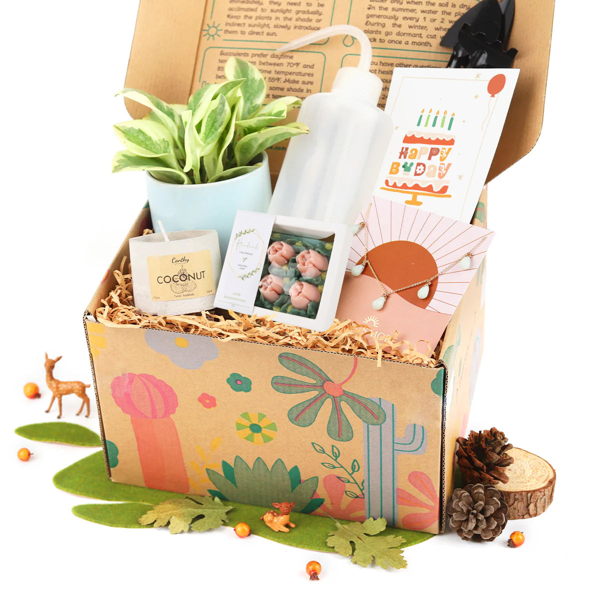 Premium Houseplant Gift Box, Houseplant Gift Box for sale, Houseplant Gift Box for plant lovers 2025