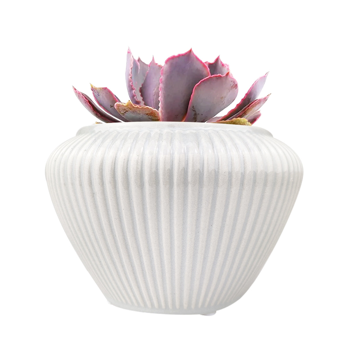 6 inch Geometric Striped Ceramic Pot