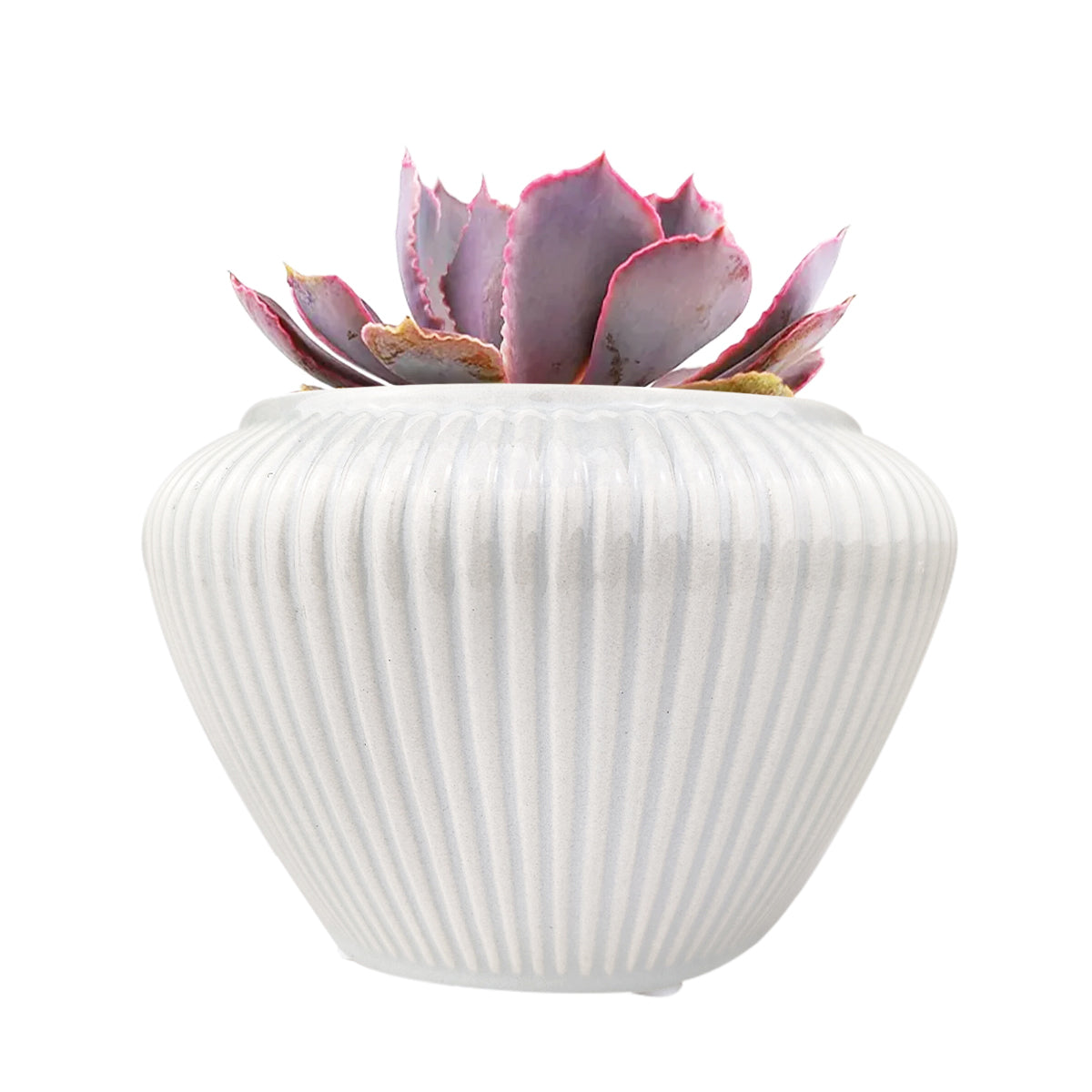 6 inch Geometric Striped Ceramic Pot, Jar Shaped Planter, large pots for succulents and cacti