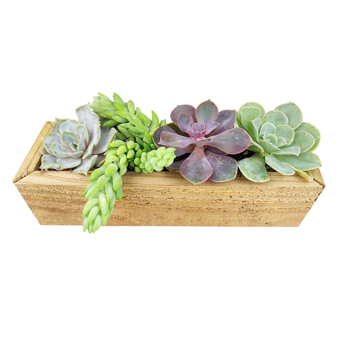 rectangular succulent pot Succulent Arrangement Centerpiece Rectangle Wooden Planter