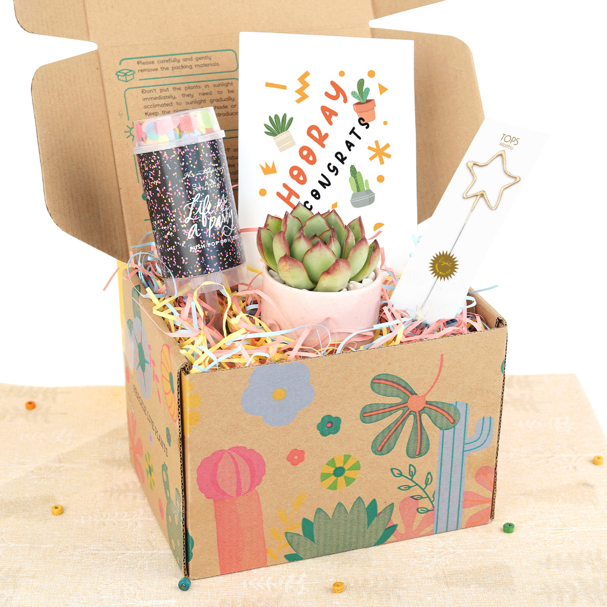 succulent confetti Holiday Gift Box - 1 Succulent 1 Sparkler and 1 Confetti Popper