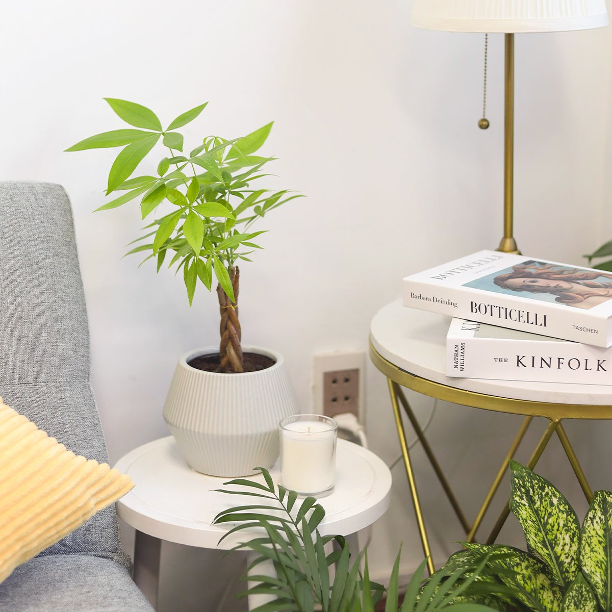 Buy Succulent Houseplant Pot online, Decorative Ceramic Planter for Sale