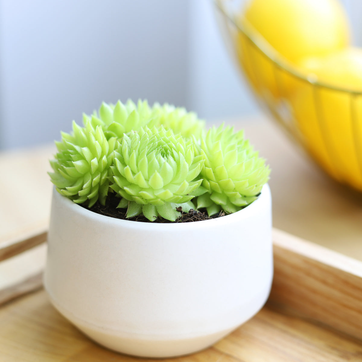 gift box ideas for Valentine 2025, 2025 Valentine Gift boxes for women, gift ideas for her