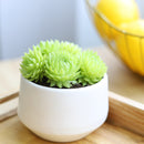 Merry Christmas Stockings Postcard, christmas Postcard 2025, cute design Postcard for plant lovers