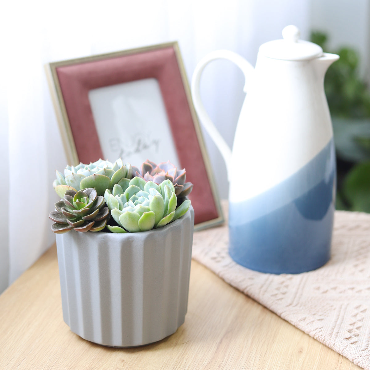 Succulent Arrangement in Grey Ceramic Faux Cement, rosette succulents, colorful succulents, stunning succulent arrangement for home and office decor, succulents plants