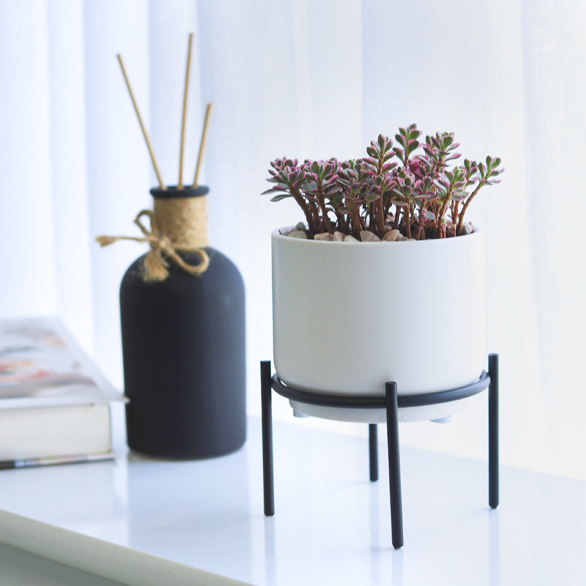 metal pots for succulents 4 inch Solid White Ceramic Planter with Metal Stand - Shop Succulent Cactus Pots