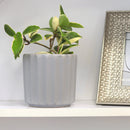 5&quot; Vertical Ridge Pattern Round Ceramic Flower Pot for Home Office Decor, 5&quot; White Vertical Stripes Ceramic Cylinder Houseplant Pot, Decorative Ceramic Flower Pot 5 inch Size, 5 inch Glazed Ceramic Planter with Drainage Hole for Succulent and Houseplant