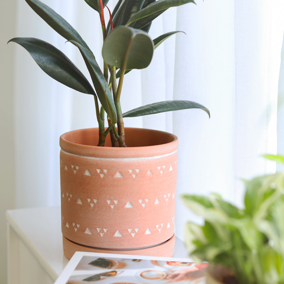 geometric pot plant 6 inch Cylinder Terracotta Clay Geometric Triangle Pattern Planter