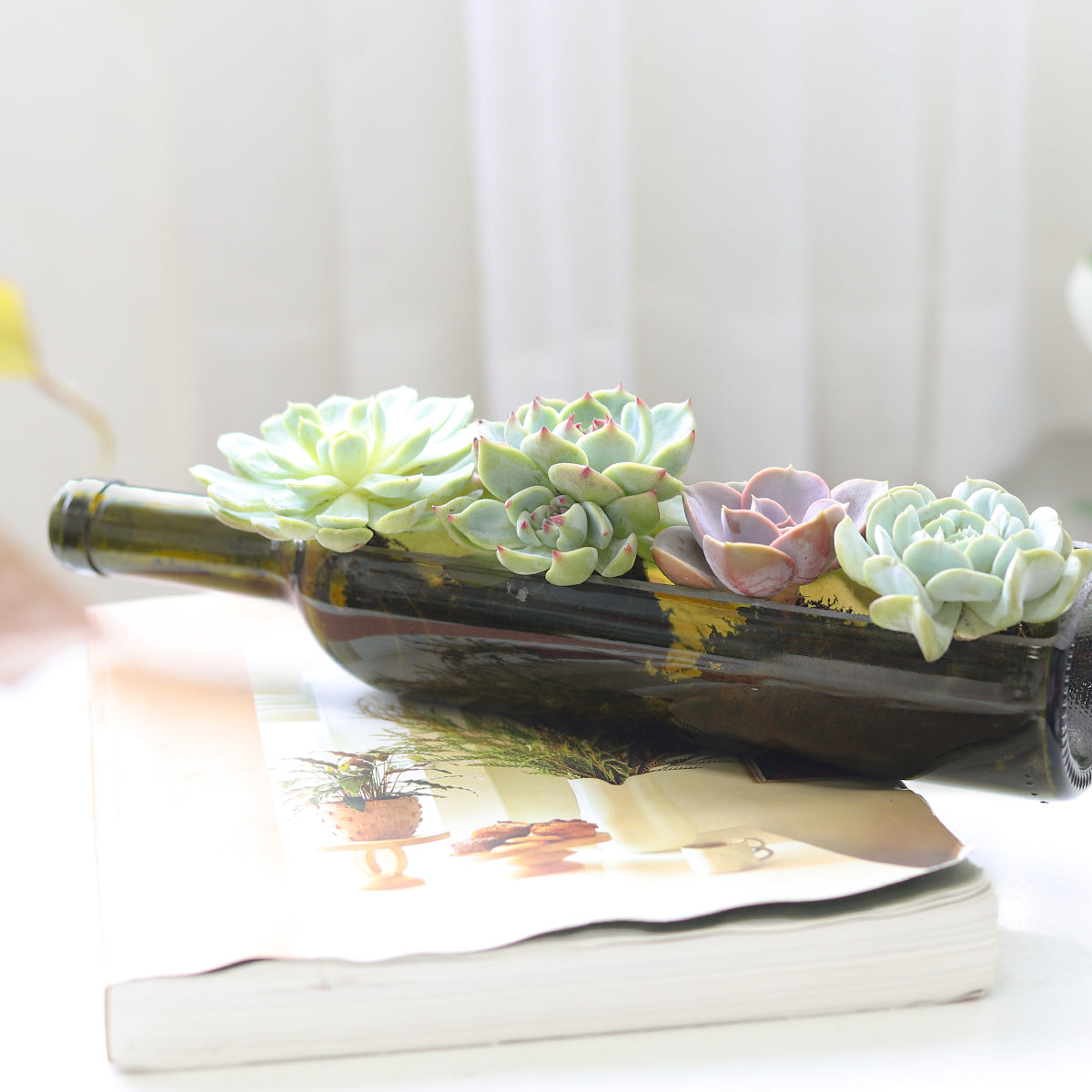 wine and succulents Succulent Wine Bottle Arrangement, Succulent Decoration Ideas
