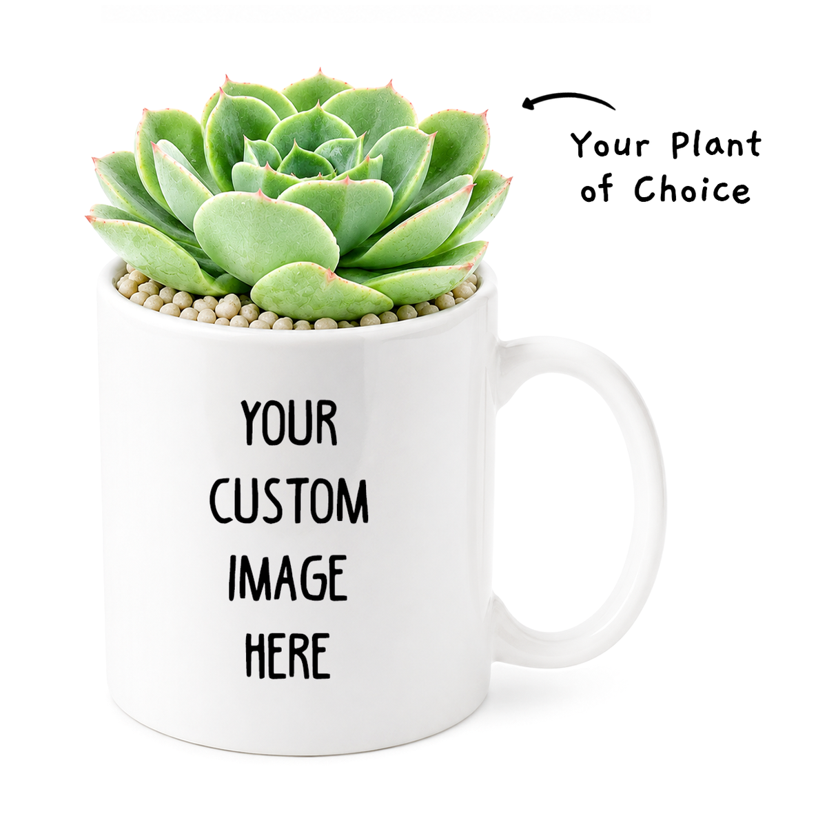 Custom plant pot with personalized image, personalized flower pot with live plant, custom photo plant pot, personalized planter with plant of your choice, custom printed ceramic planter, personalized succulent pot, custom image flower pot gift, custom photo planter for houseplants