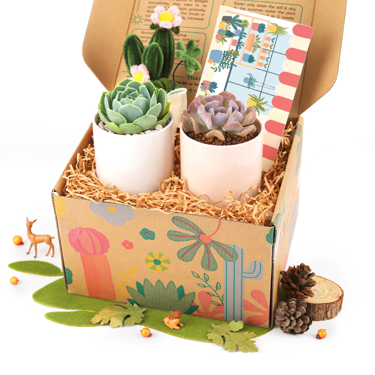 succulent gifts for teachers, succulent gifts for coworkers, succulent gifts for wedding, succulents to ship as gifts
