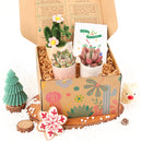 cute holiday cards, modern holiday cards, holiday cards 2025, holiday cards sale