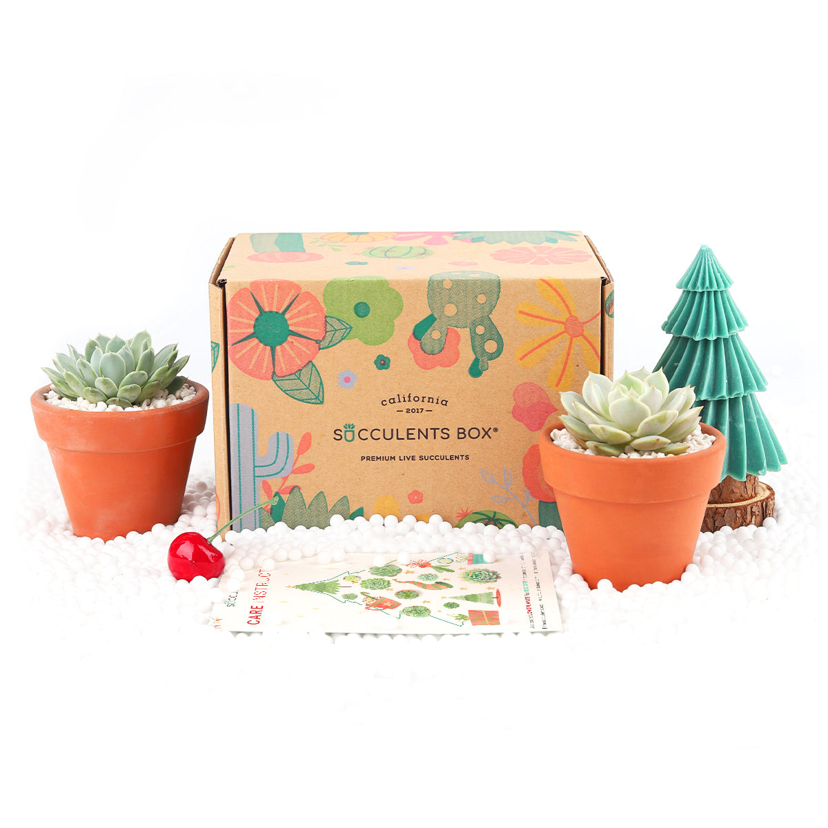 12 clay pots for plants Gift 2 Succulents 2 Clay Pots/ month
