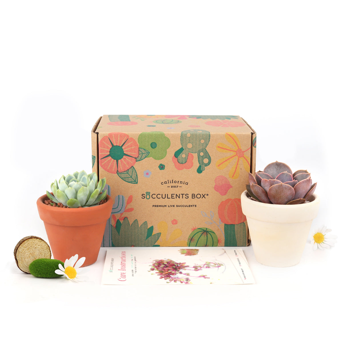 Subscription Box with Care Instruction, Succulent Subscription Box